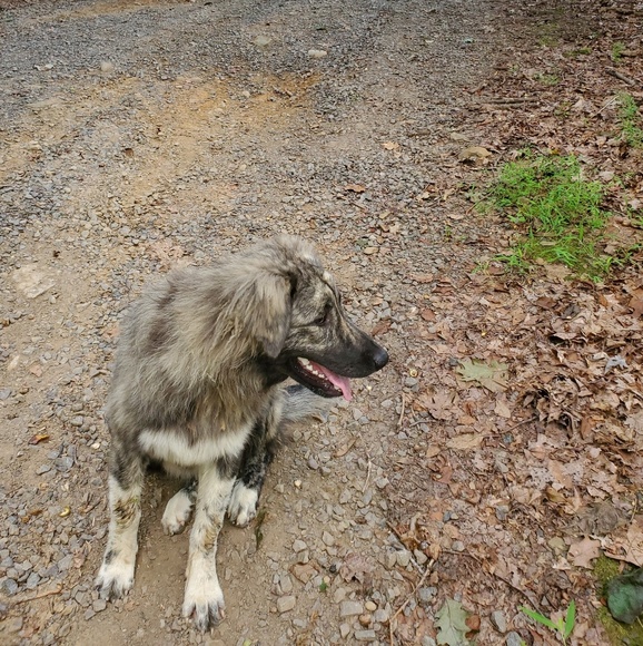 Meet your Posher, N - Picture 7 of 8